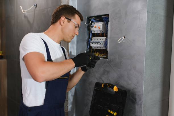 Best Electric Panel Repair  in Fanwood, NJ